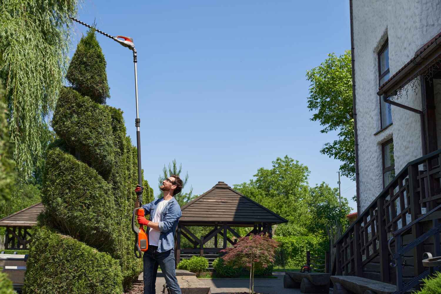 Best Affordable Tree Service  in Garden Grove, FL